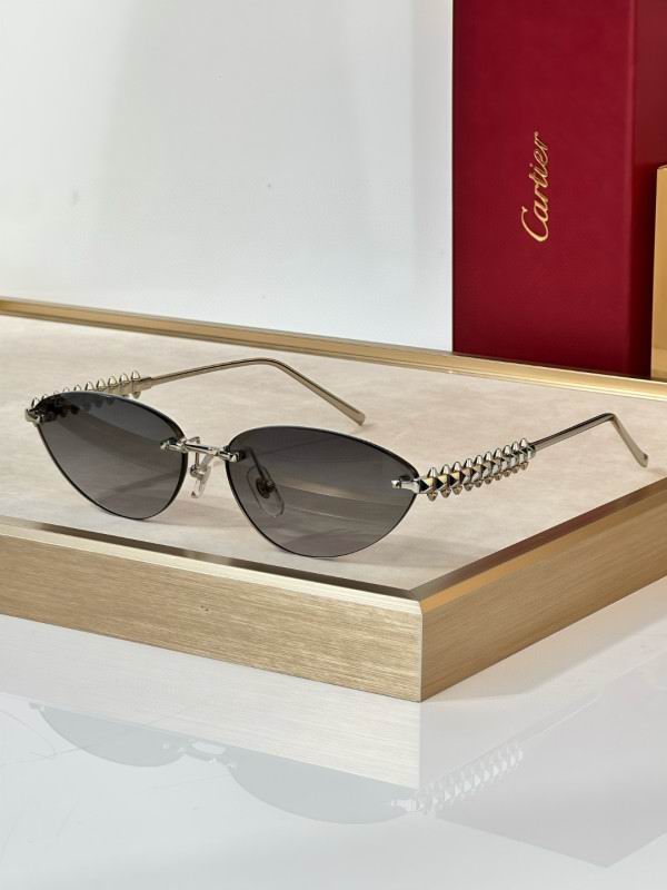 Cartier Glasses 08smh297 (7)