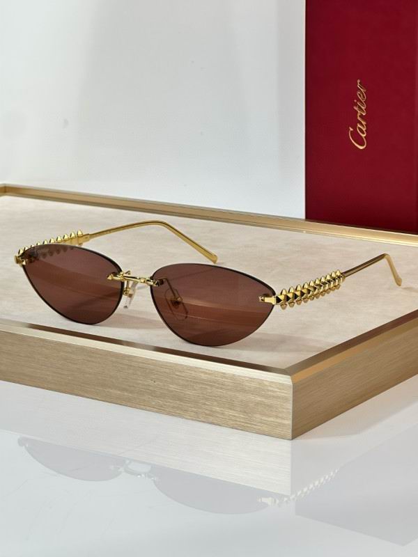 Cartier Glasses 08smh297 (8)