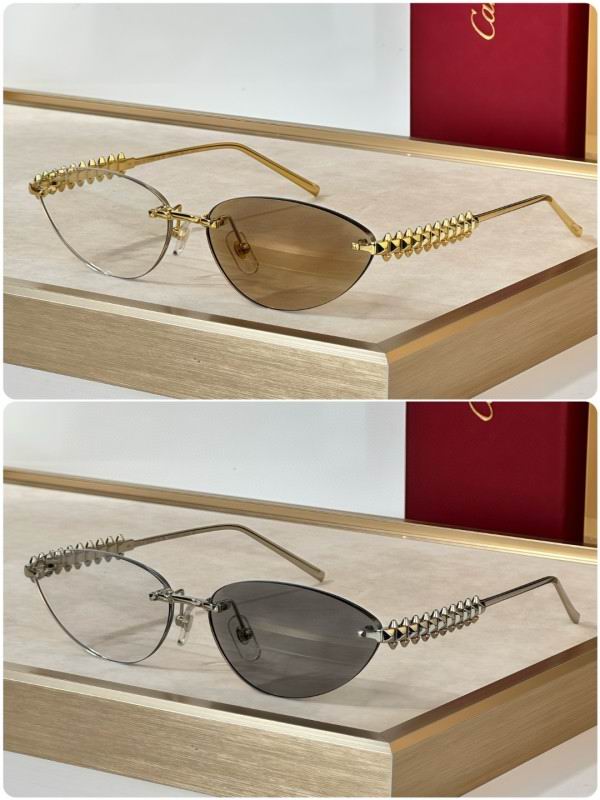 Cartier Glasses 08smh297 (9)