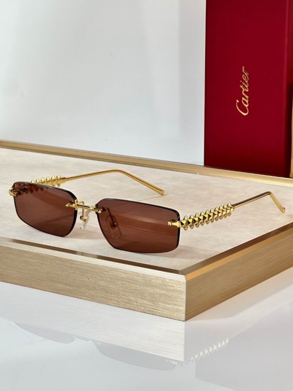 Cartier Glasses 08smh298 (1)