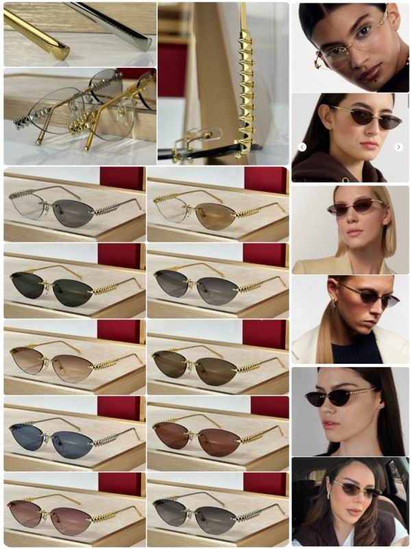 Cartier Glasses 08smh298 (10)