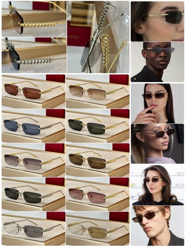 Cartier Glasses 08smh298 (11)