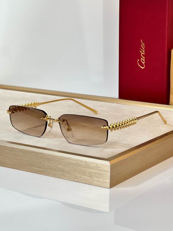 Cartier Glasses 08smh298 (4)