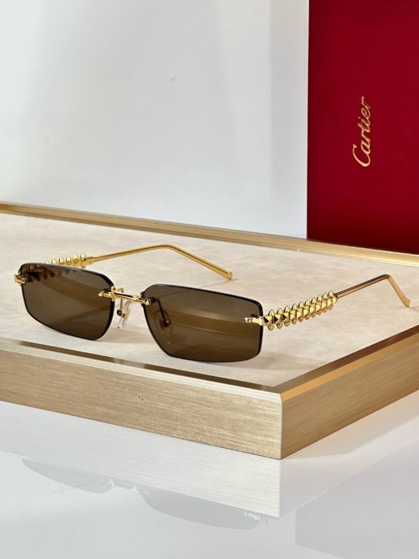 Cartier Glasses 08smh298 (6)