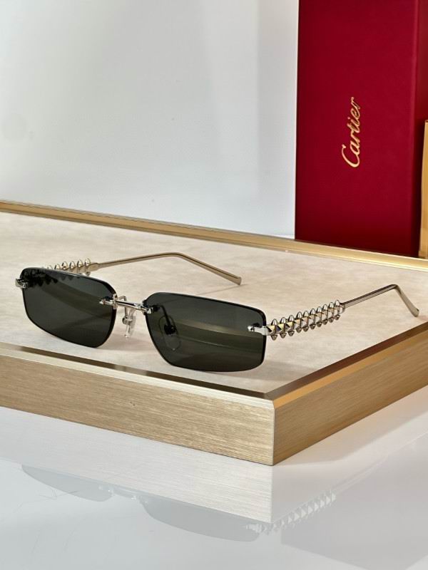 Cartier Glasses 08smh298 (7)