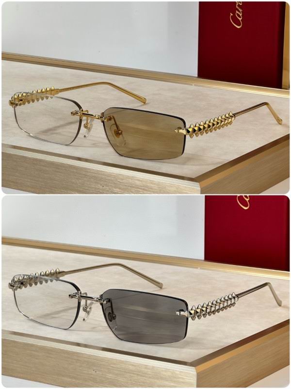 Cartier Glasses 08smh298 (9)