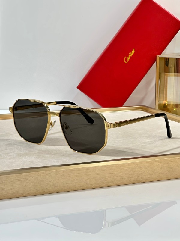 Cartier Glasses 08smh30 (4)