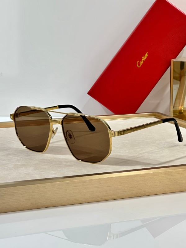 Cartier Glasses 08smh30 (5)