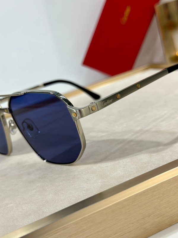 Cartier Glasses 08smh30 (6)