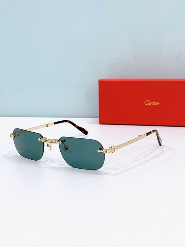 Cartier Glasses 08smh300 (2)