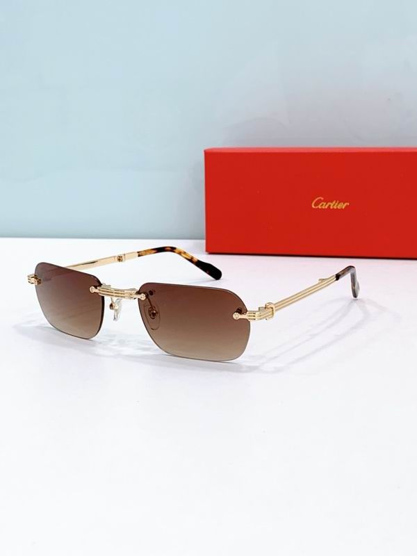 Cartier Glasses 08smh300 (4)