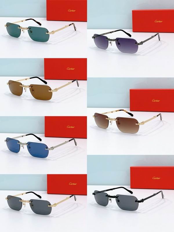 Cartier Glasses 08smh300 (8)