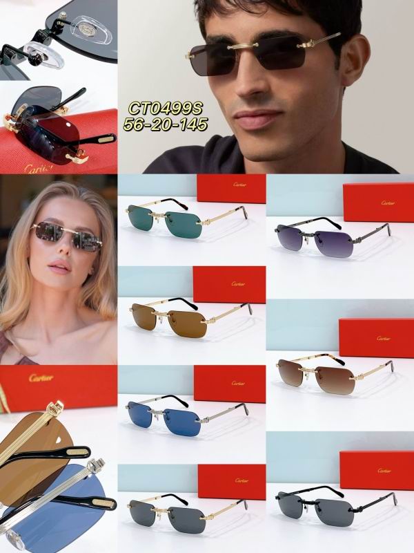 Cartier Glasses 08smh300 (9)