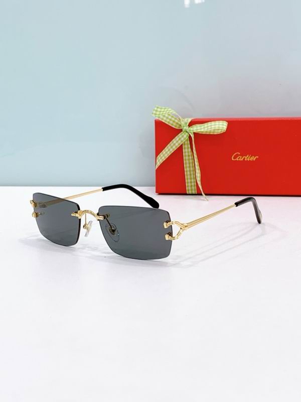 Cartier Glasses 08smh302 (1)