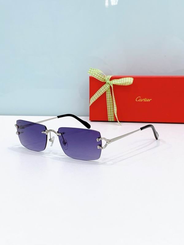 Cartier Glasses 08smh302 (4)