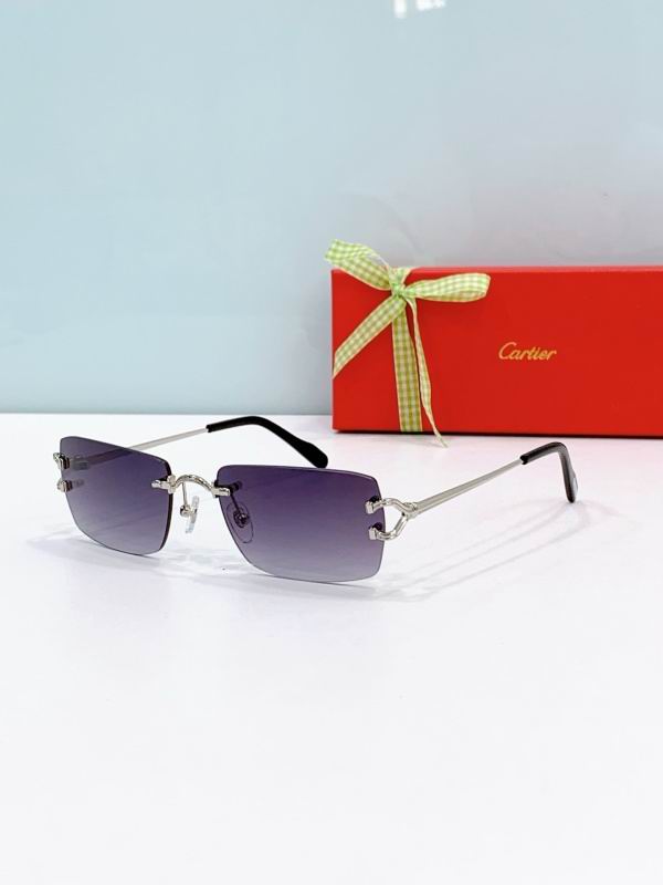 Cartier Glasses 08smh302 (6)