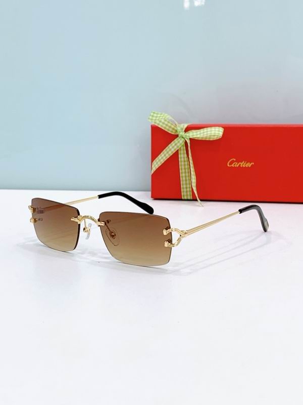 Cartier Glasses 08smh302 (7)