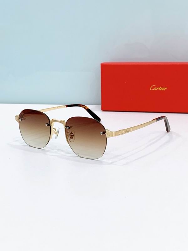 Cartier Glasses 08smh303 (2)