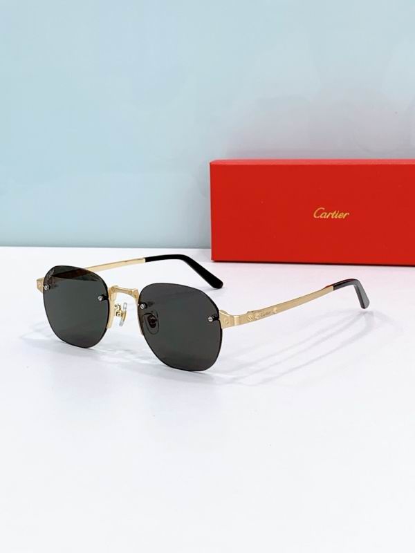 Cartier Glasses 08smh303 (5)