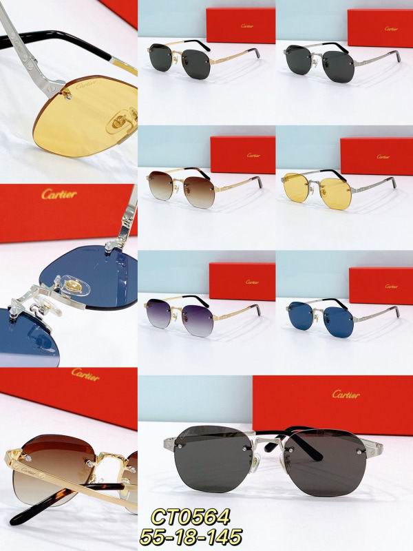 Cartier Glasses 08smh303 (7)