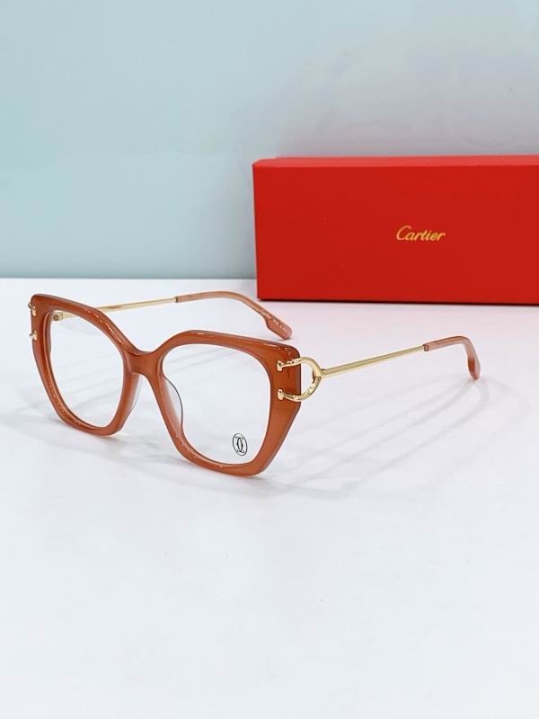 Cartier Glasses 08smh304 (9)