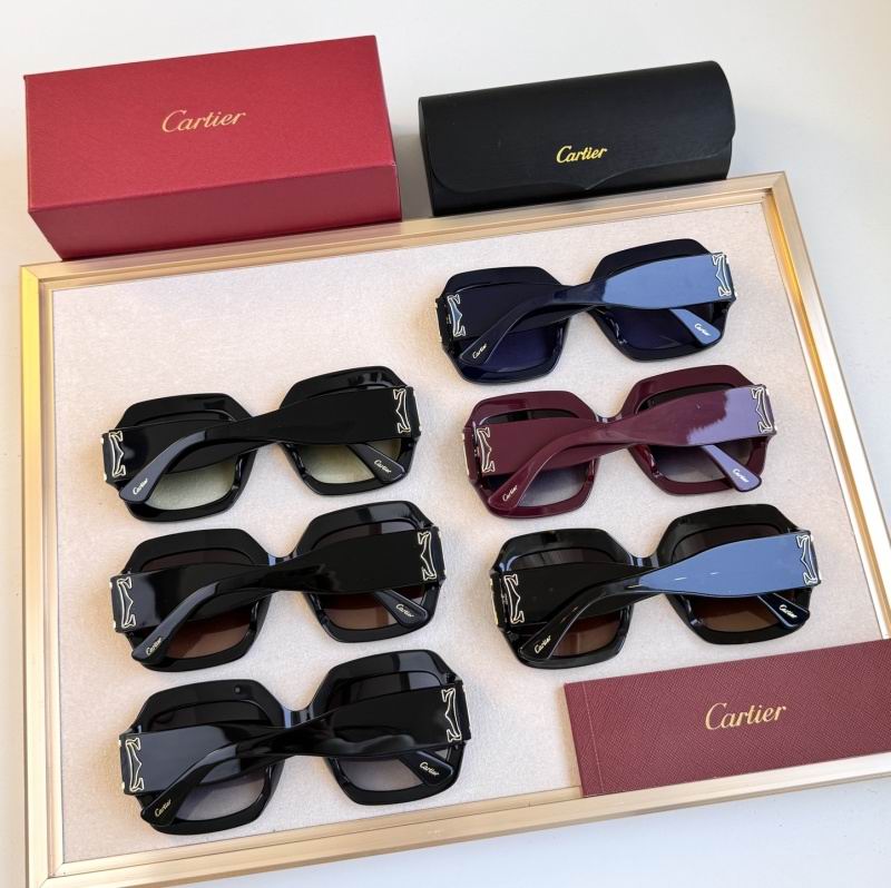 Cartier Glasses 08smh305 (8)