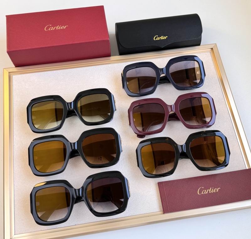 Cartier Glasses 08smh305 (9)