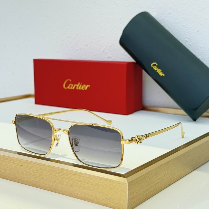 Cartier Glasses 08smh306 (6)