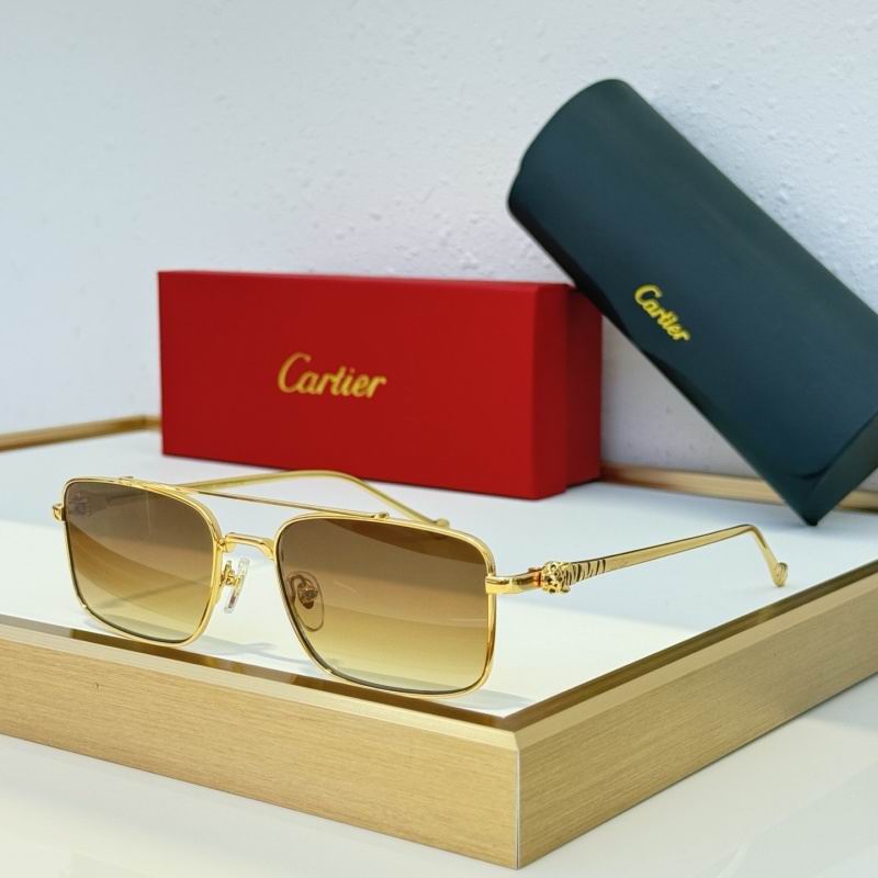 Cartier Glasses 08smh306 (7)