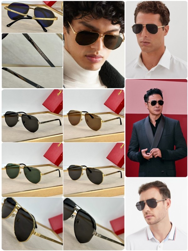 Cartier Glasses 08smh31 (10)