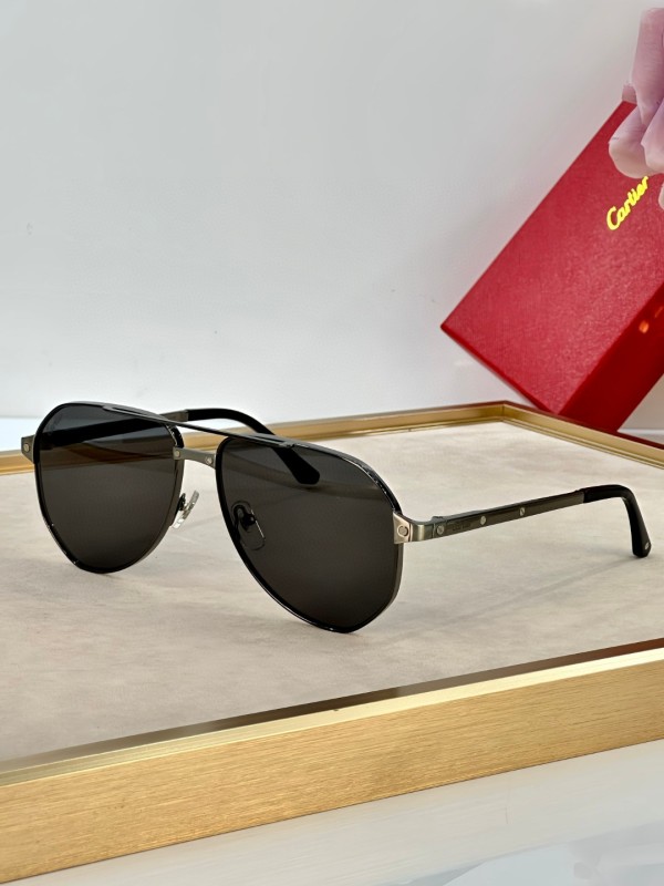 Cartier Glasses 08smh31 (3)