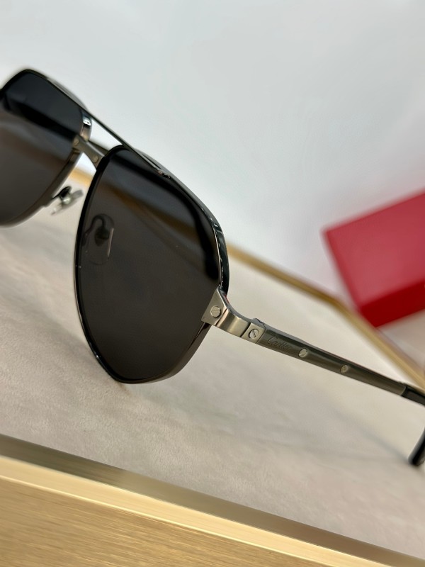 Cartier Glasses 08smh31 (5)