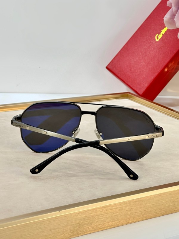 Cartier Glasses 08smh31 (9)