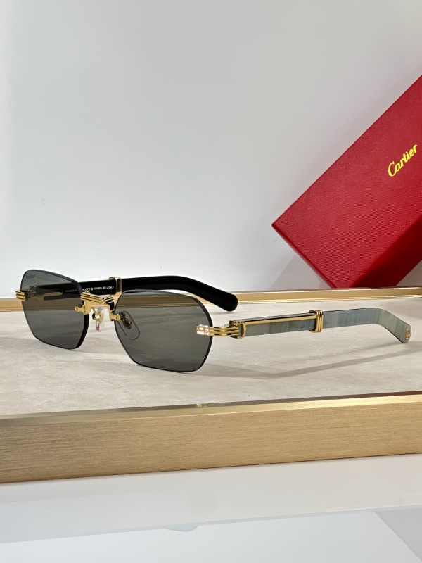 Cartier Glasses 08smh33 (3)