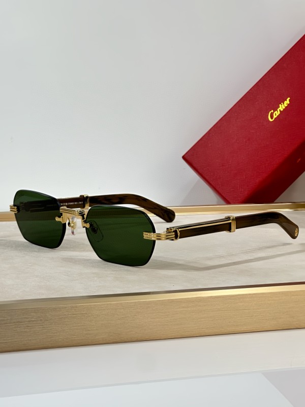 Cartier Glasses 08smh33 (5)