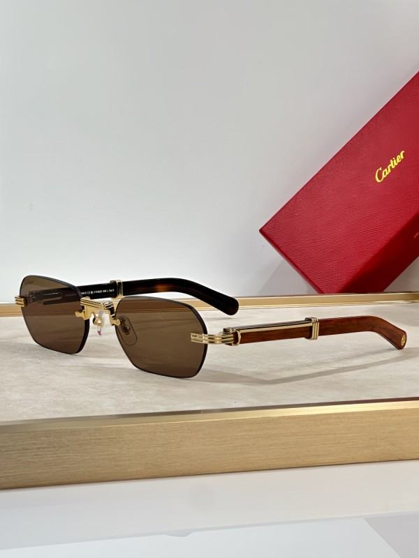 Cartier Glasses 08smh33 (6)