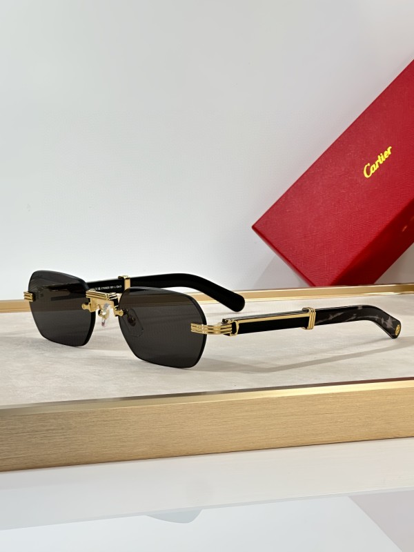 Cartier Glasses 08smh33 (7)