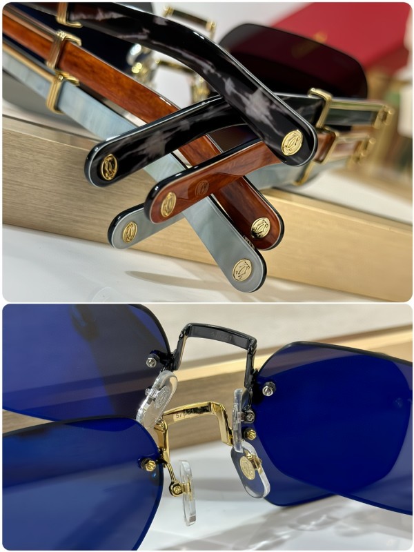 Cartier Glasses 08smh33 (8)