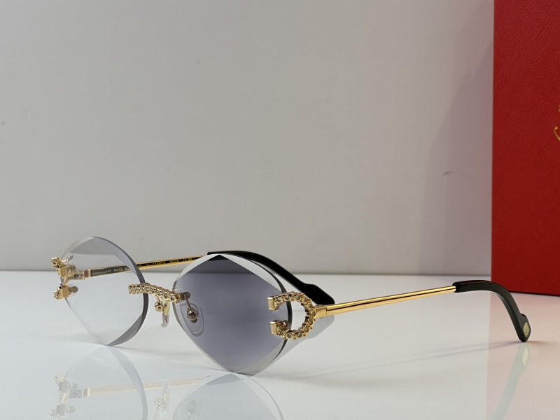 Cartier Glasses 08smh34 (1)