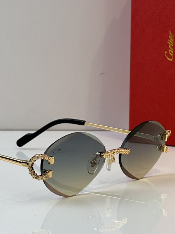 Cartier Glasses 08smh34 (10)