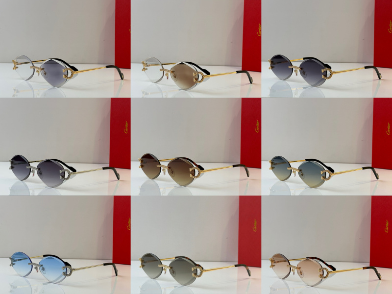 Cartier Glasses 08smh34 (12)