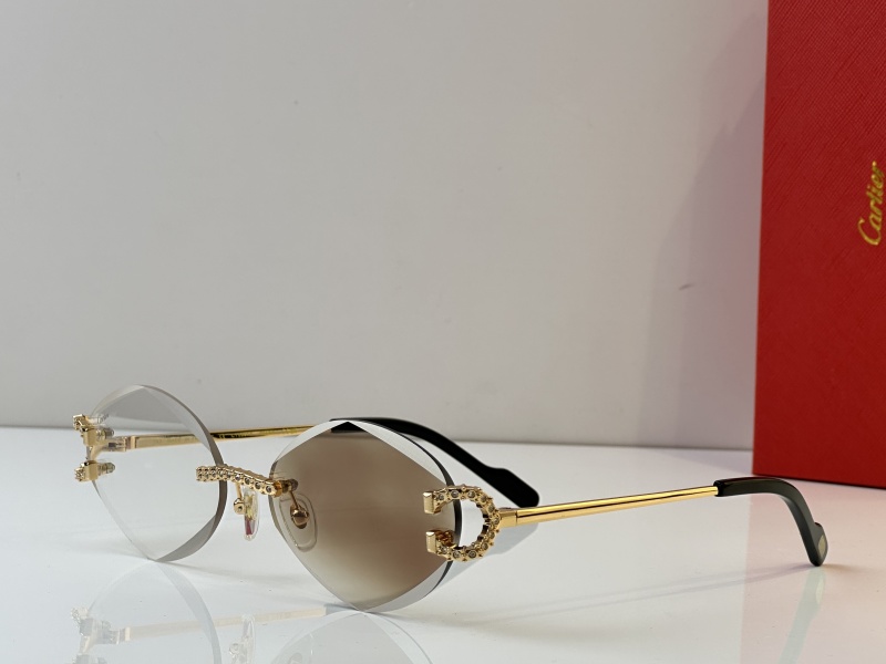 Cartier Glasses 08smh34 (2)