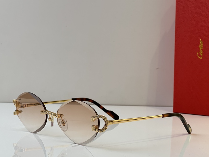 Cartier Glasses 08smh34 (3)