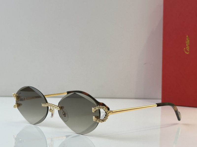 Cartier Glasses 08smh34 (5)