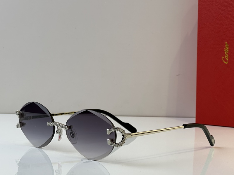 Cartier Glasses 08smh34 (6)