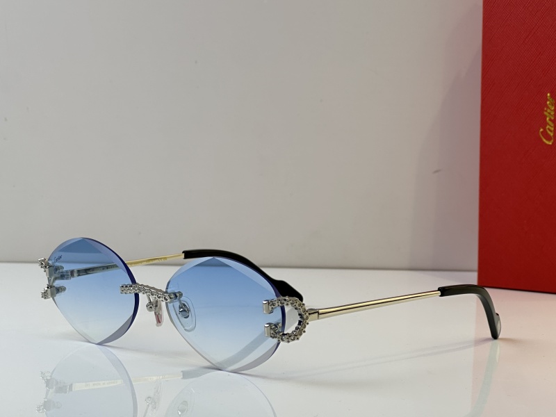 Cartier Glasses 08smh34 (7)