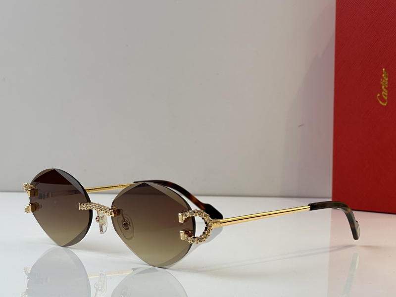 Cartier Glasses 08smh34 (8)