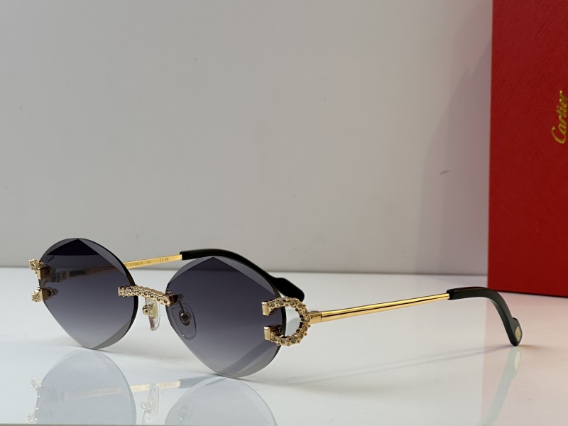 Cartier Glasses 08smh34 (9)