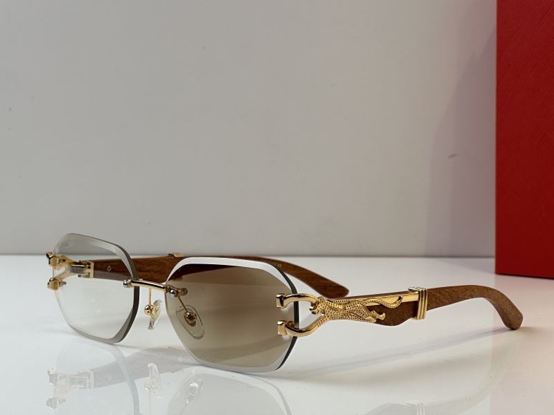 Cartier Glasses 08smh35 (1)