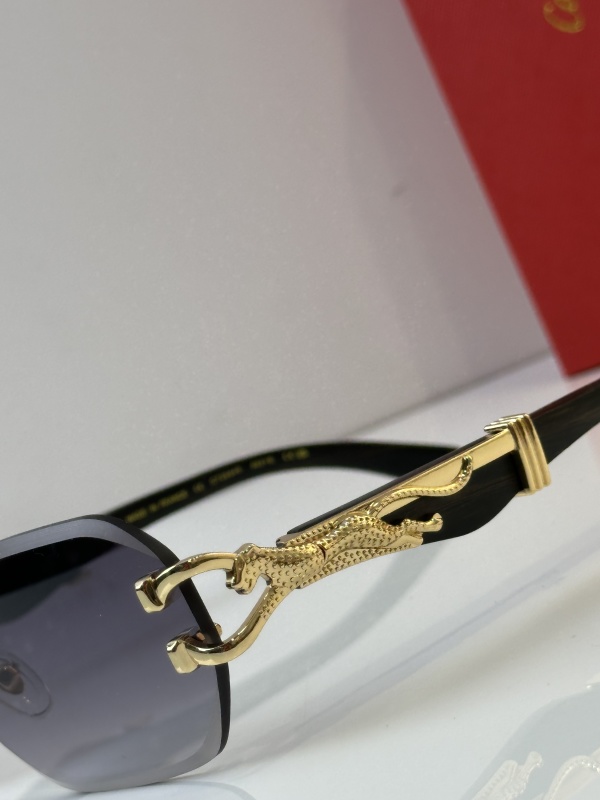 Cartier Glasses 08smh35 (11)